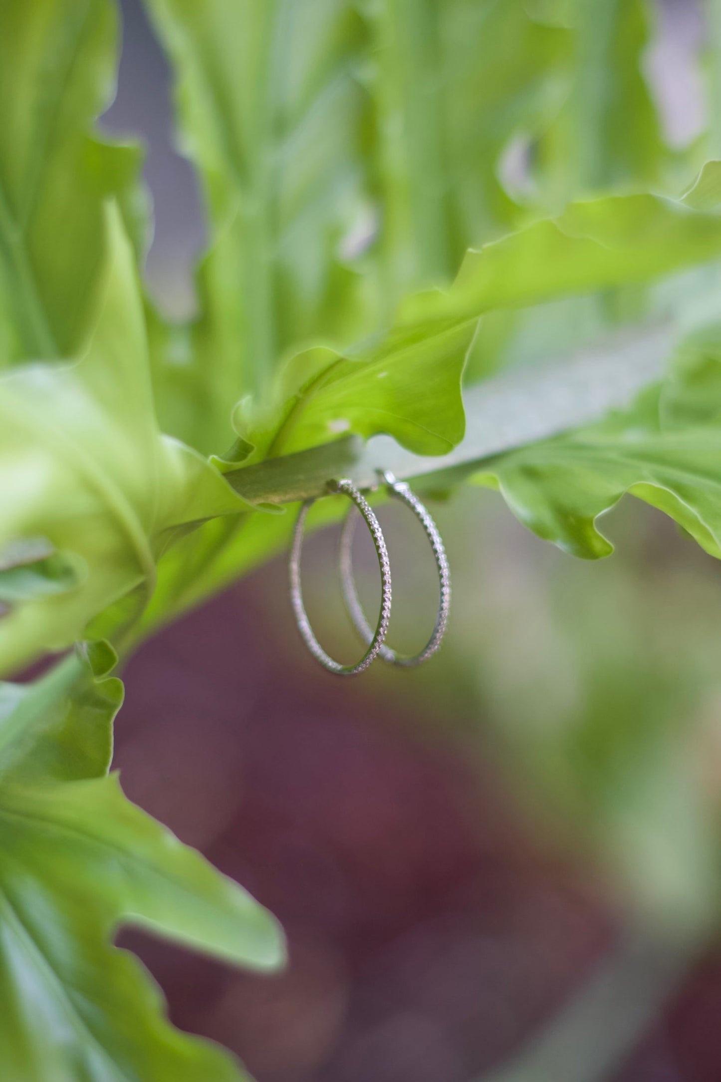 Arracadas en oro blanco 14k con diamantes